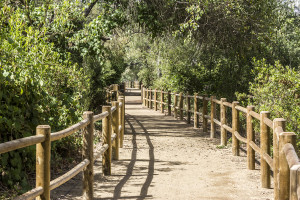 mast park-RUSSEL RAY